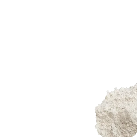 L-Carnitina, 90 cápsulas de 500 mg - L carnitin x