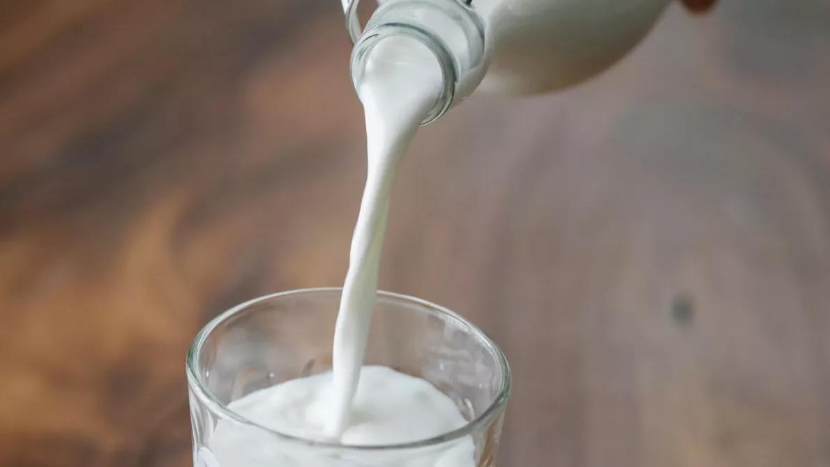 Saúde em um Copo: Conheça os Benefícios do Kefir para o Organismo - Untitled design jpg e Saúde em um Copo: Conheça os Benefícios do Kefir para o Organismo - Untitled design jpg e