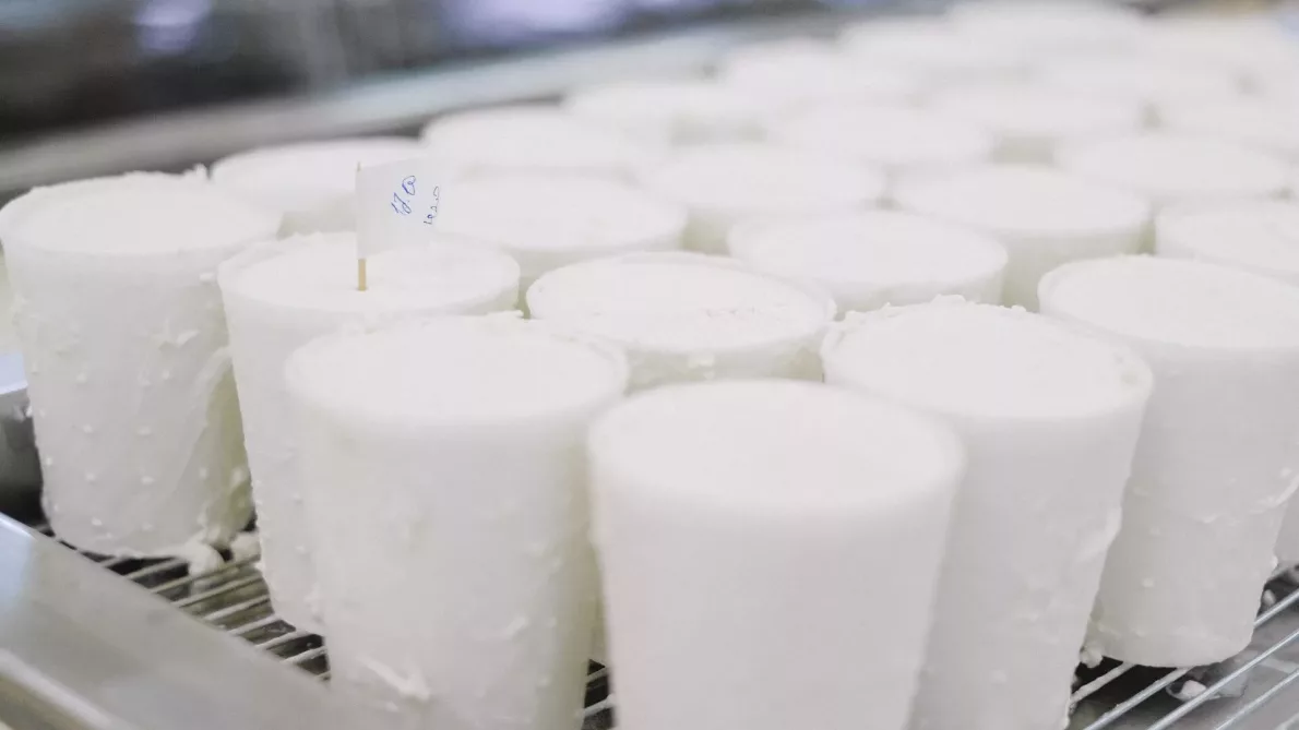Descubra os Melhores Alimentos Ricos em Cálcio para uma Saúde Óssea Forte - Untitled design jpg e Descubra os Melhores Alimentos Ricos em Cálcio para uma Saúde Óssea Forte - Untitled design jpg e