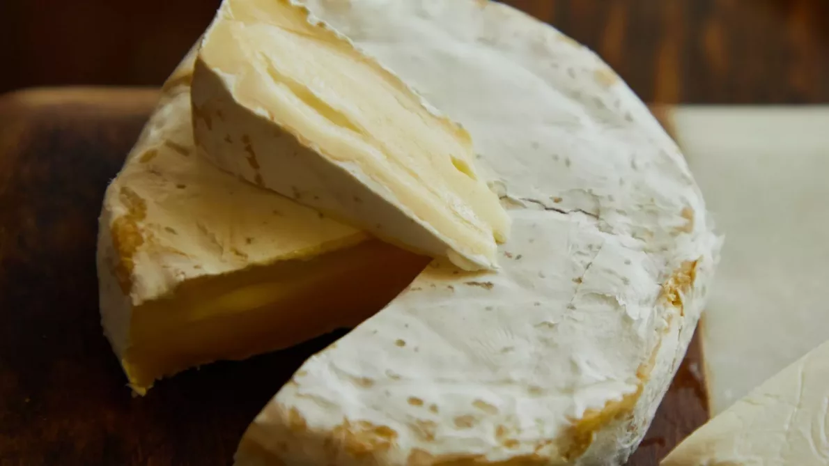 Descubra os Melhores Alimentos Ricos em Cálcio para uma Saúde Óssea Forte - Untitled design jpg e Descubra os Melhores Alimentos Ricos em Cálcio para uma Saúde Óssea Forte - Untitled design jpg e