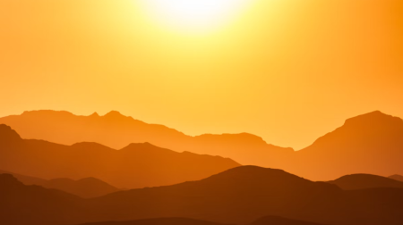 Vitamina D e saúde óssea: como garantir uma adequada absorção de cálcio - image e