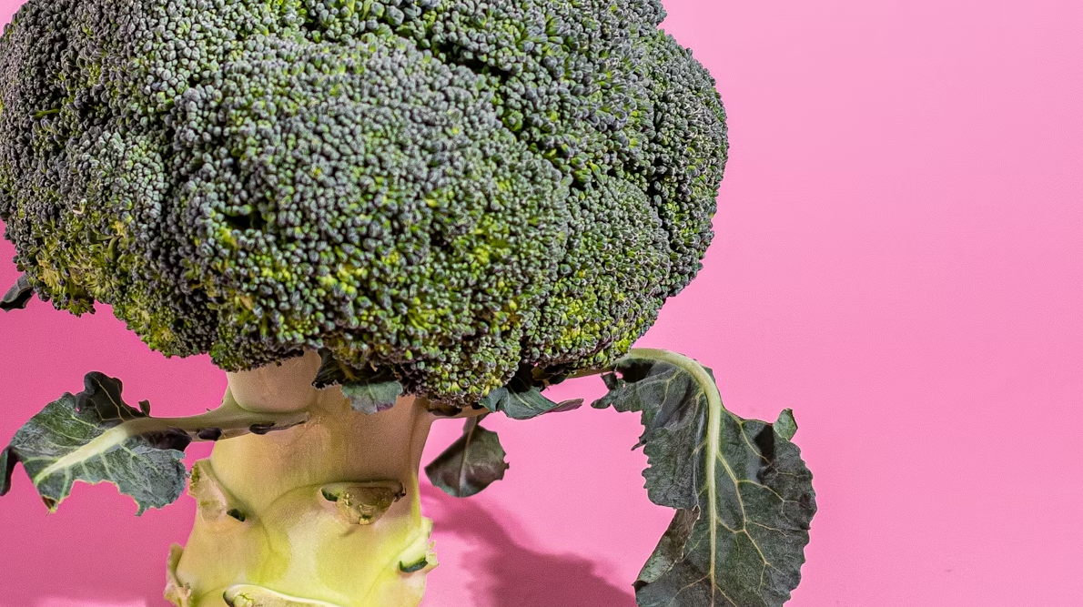 Vitamina A: Importância para a saúde, consequências de sua deficiência e fontes - image e