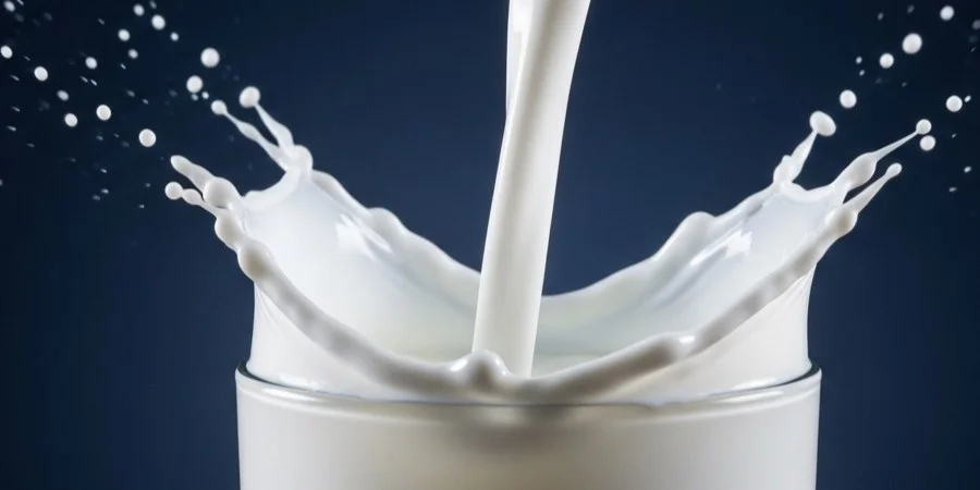 L-serina: benefícios, funções, deficiência e como obtê-la naturalmente - Whisk b a a