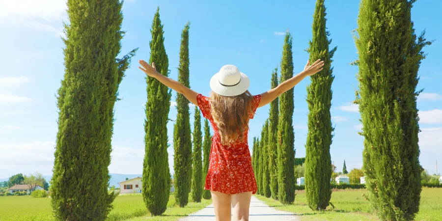 As melhores vitaminas para o verão - AdobeStock As melhores vitaminas para o verão - AdobeStock