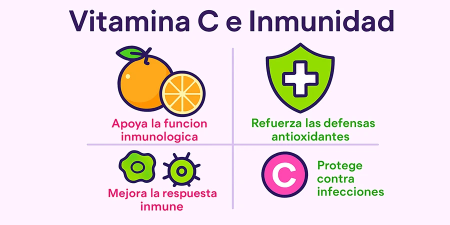 Como é que a vitamina C afeta realmente o sistema imunitário? - vc info es Como é que a vitamina C afeta realmente o sistema imunitário? - vc info es