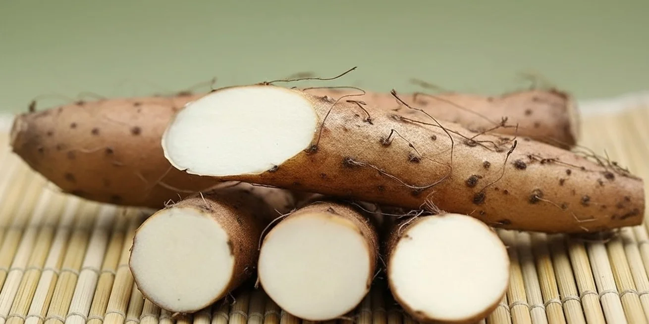 Benefícios do Inhame selvagem para a saúde hormonal e o equilíbrio feminino - Whisk c cf d bf a f d fbb d b b dr