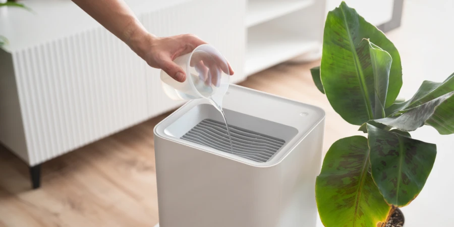 O que é amigdalite e como tratá-la - humidifier O que é amigdalite e como tratá-la - humidifier