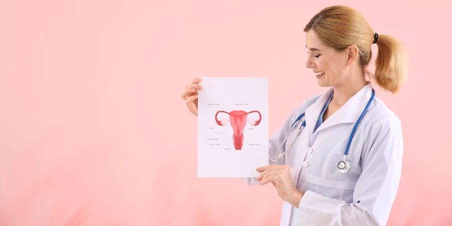 Inositol 40:1 - Para Que Serve, Benefícios e Como Tomar - female reproductive system Inositol 40:1 - Para Que Serve, Benefícios e Como Tomar - female reproductive system