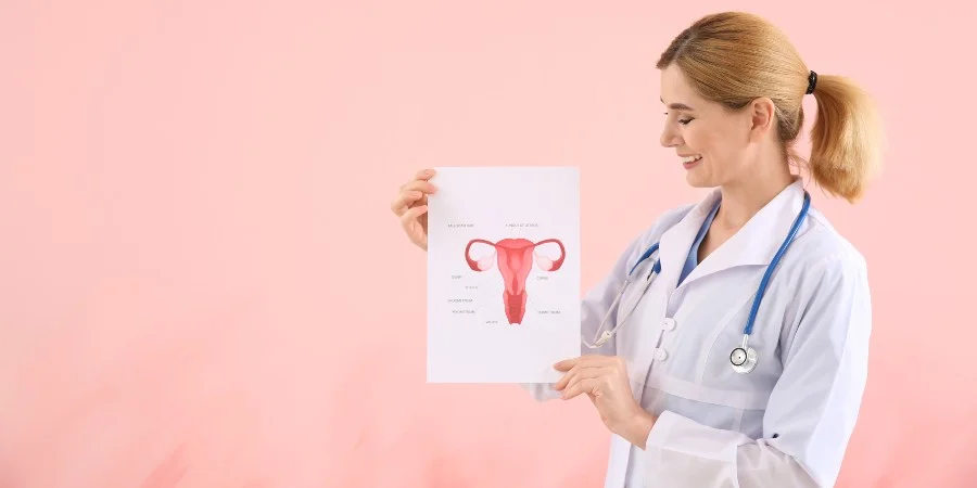 Inositol 40:1 - Para Que Serve, Benefícios e Como Tomar - female reproductive system Inositol 40:1 - Para Que Serve, Benefícios e Como Tomar - female reproductive system